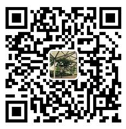 广州思博展览展示有限公司
